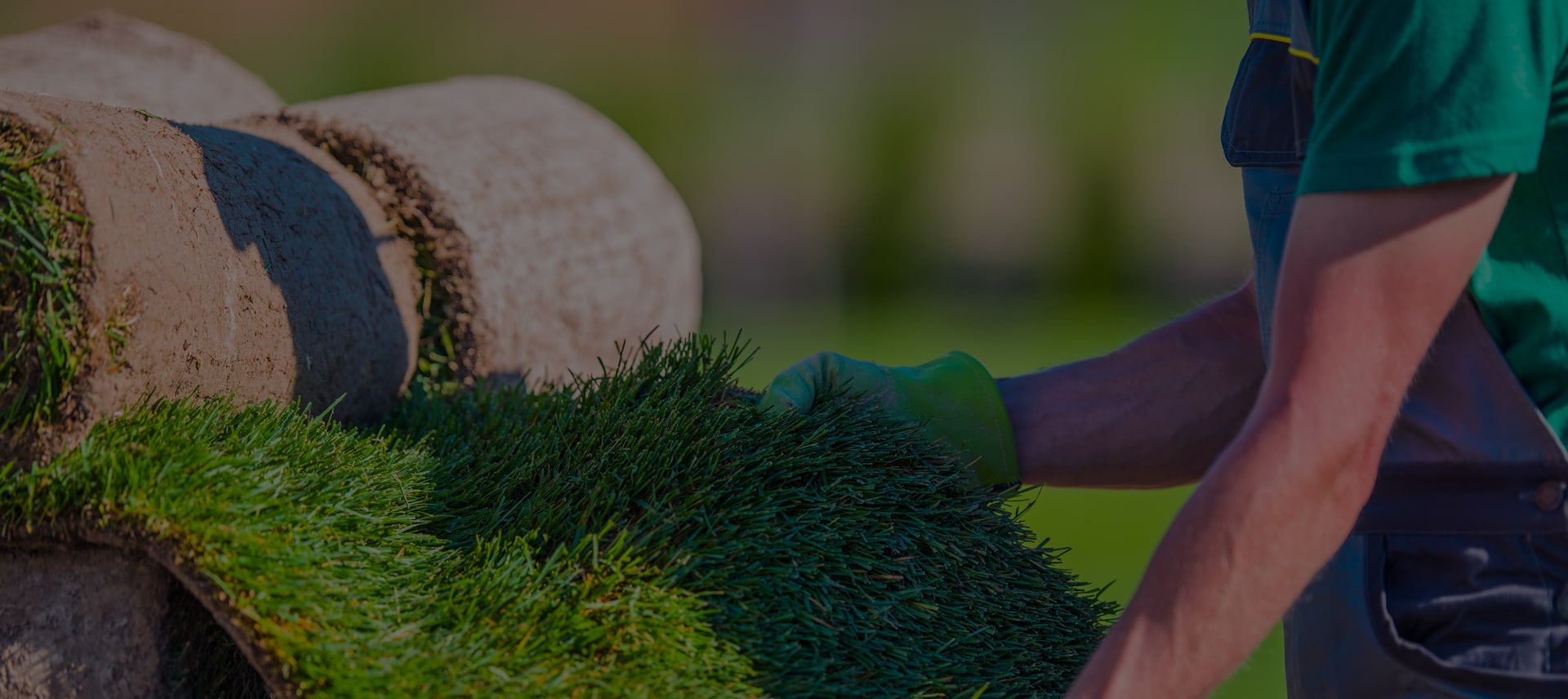 LGT premium turf care