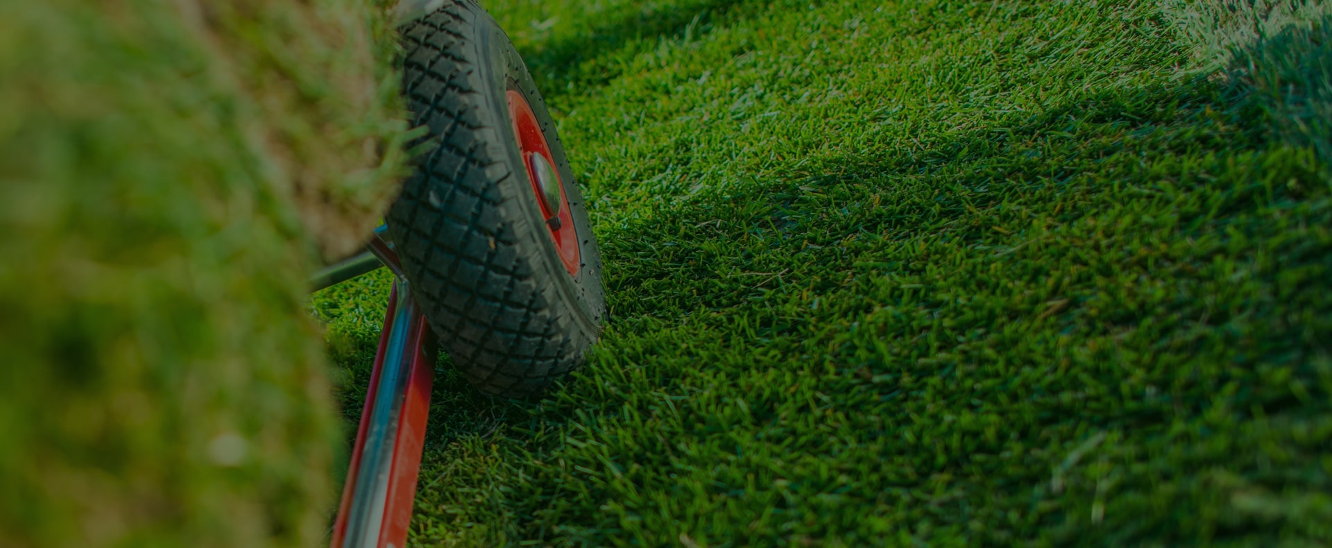 LGT premium turf care