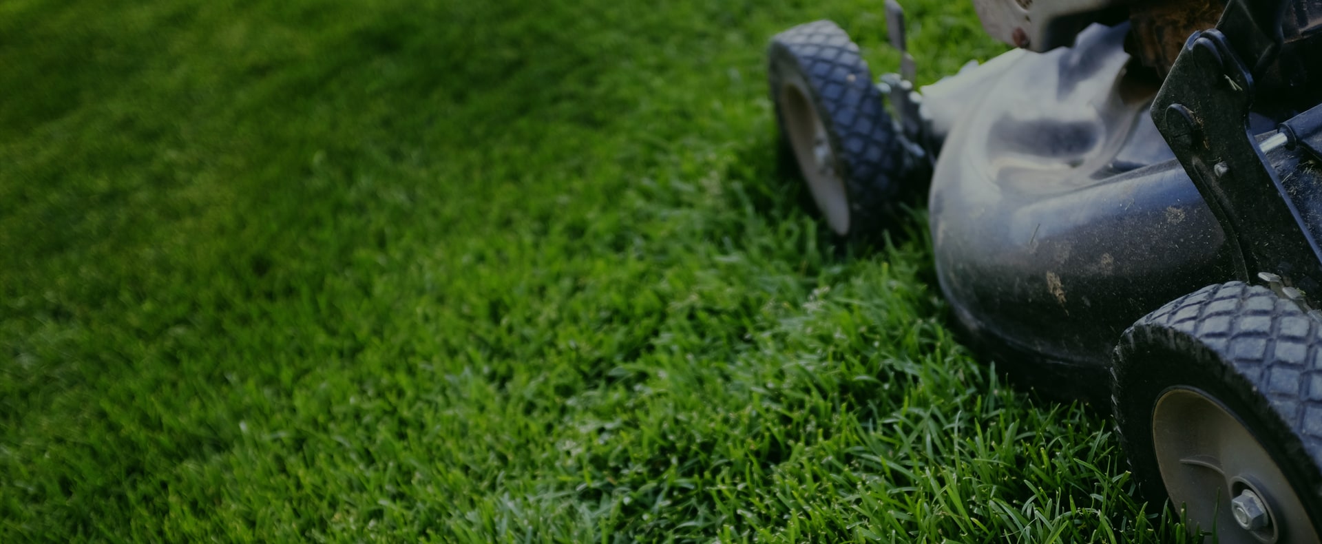 LGT premium turf care
